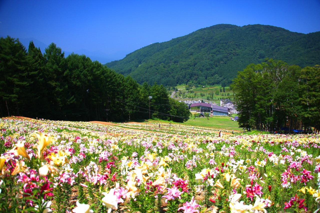 Hotel Harvest Madarao 시나노 외부 사진